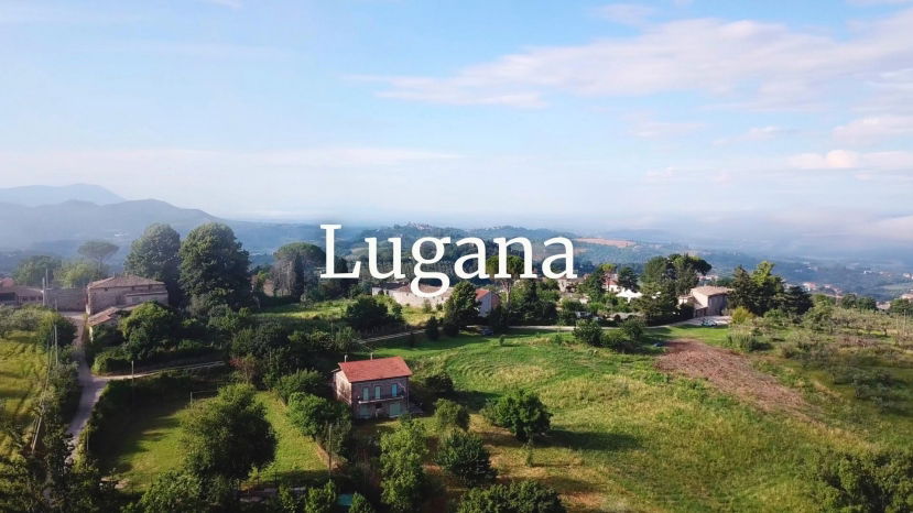 Lugana, the liquid gold of Lake Garda - with Susannah Gold