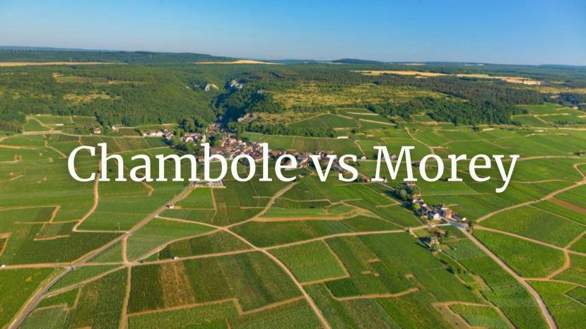 Chambolle vs Morey with Tim Magnus