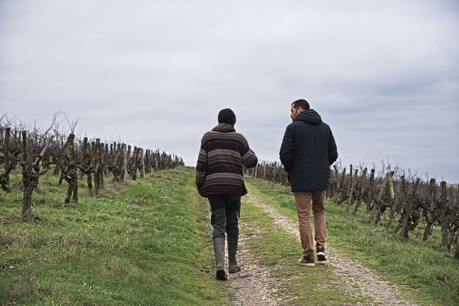 A Measured Approach: Rational Sustainability in Sauternes