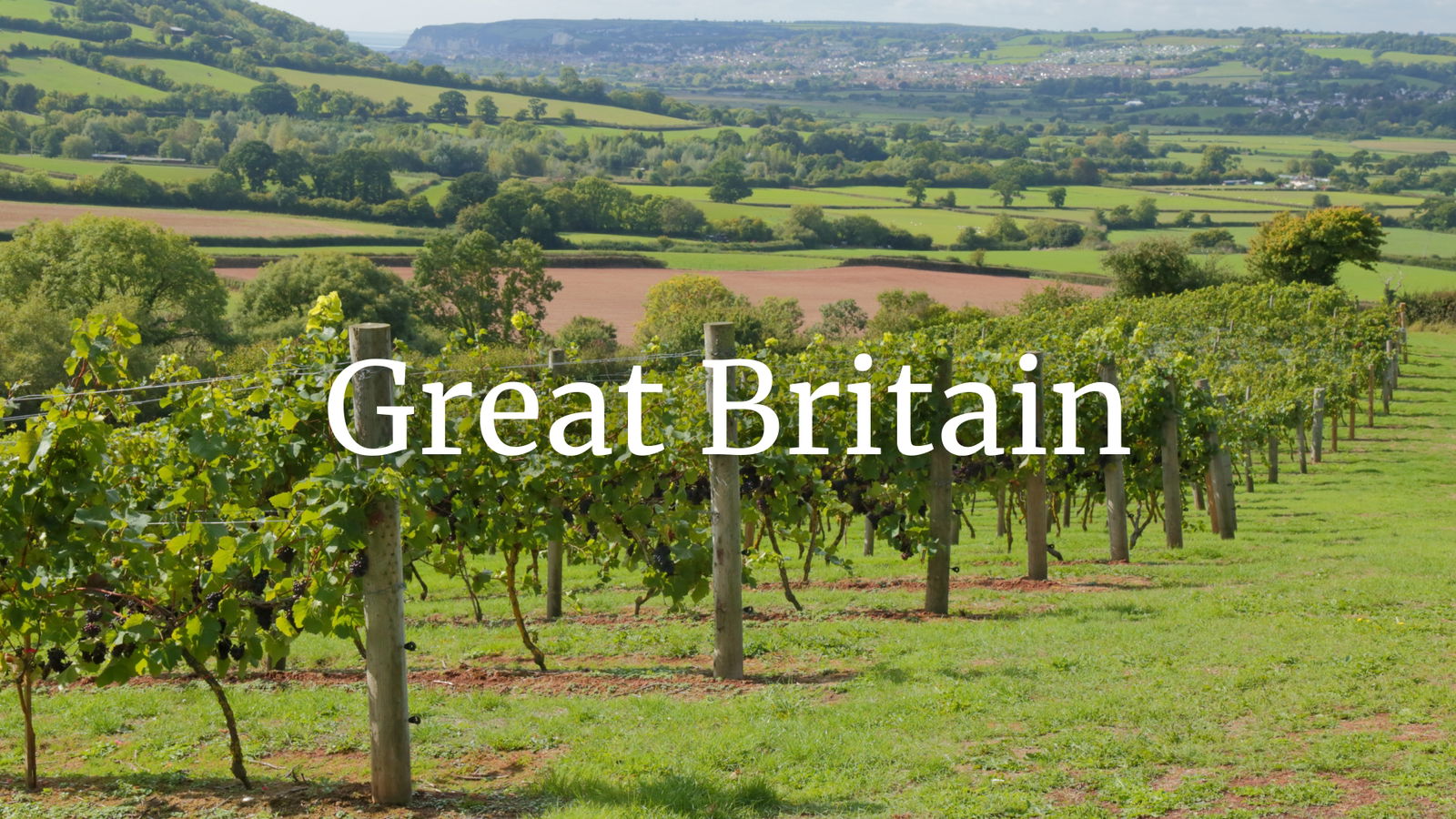 Great Britain – Great Wines with Stephen Skelton MW