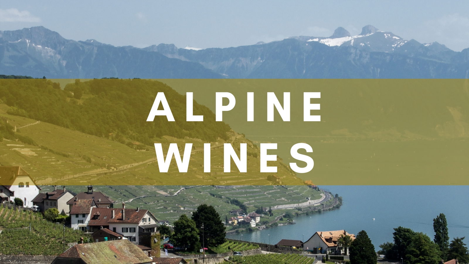 At the Heart of Alpine Wines