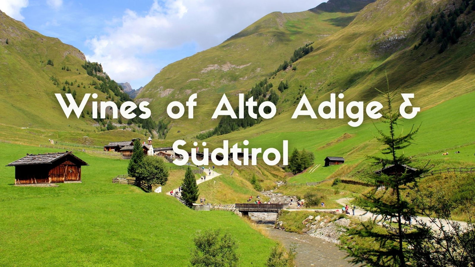 The Wines of Alto Adige/Südtirol with May Matta-Aliah