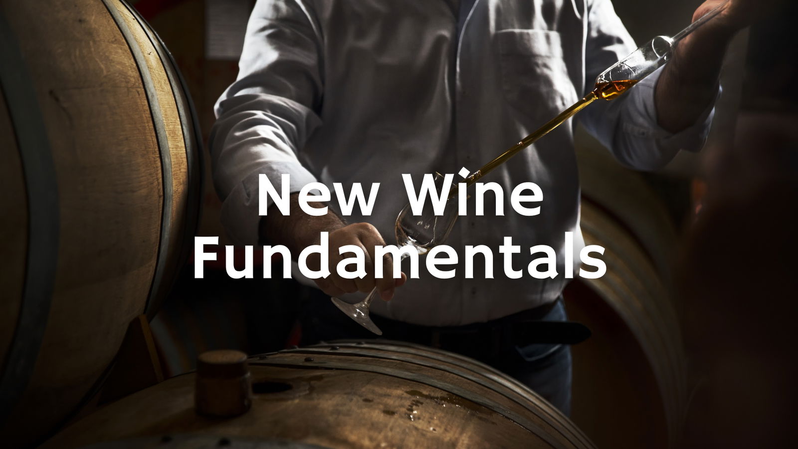 The New Wine Fundamentals with Tim Hanni MW