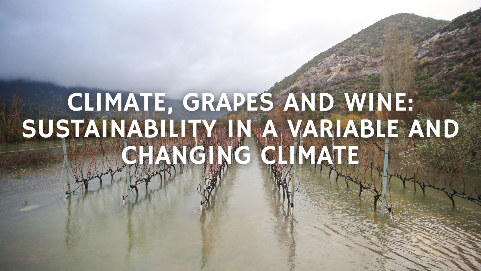 Climate, Grapes and Wine: Sustainability in a Variable and Changing Climate with Greg Jones, PhD