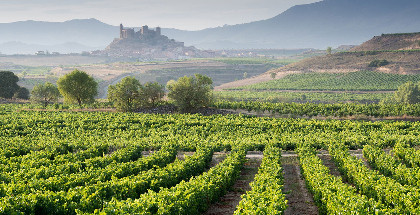 Rioja Gold: The Past, Present, and Future of Aged Rioja Wines