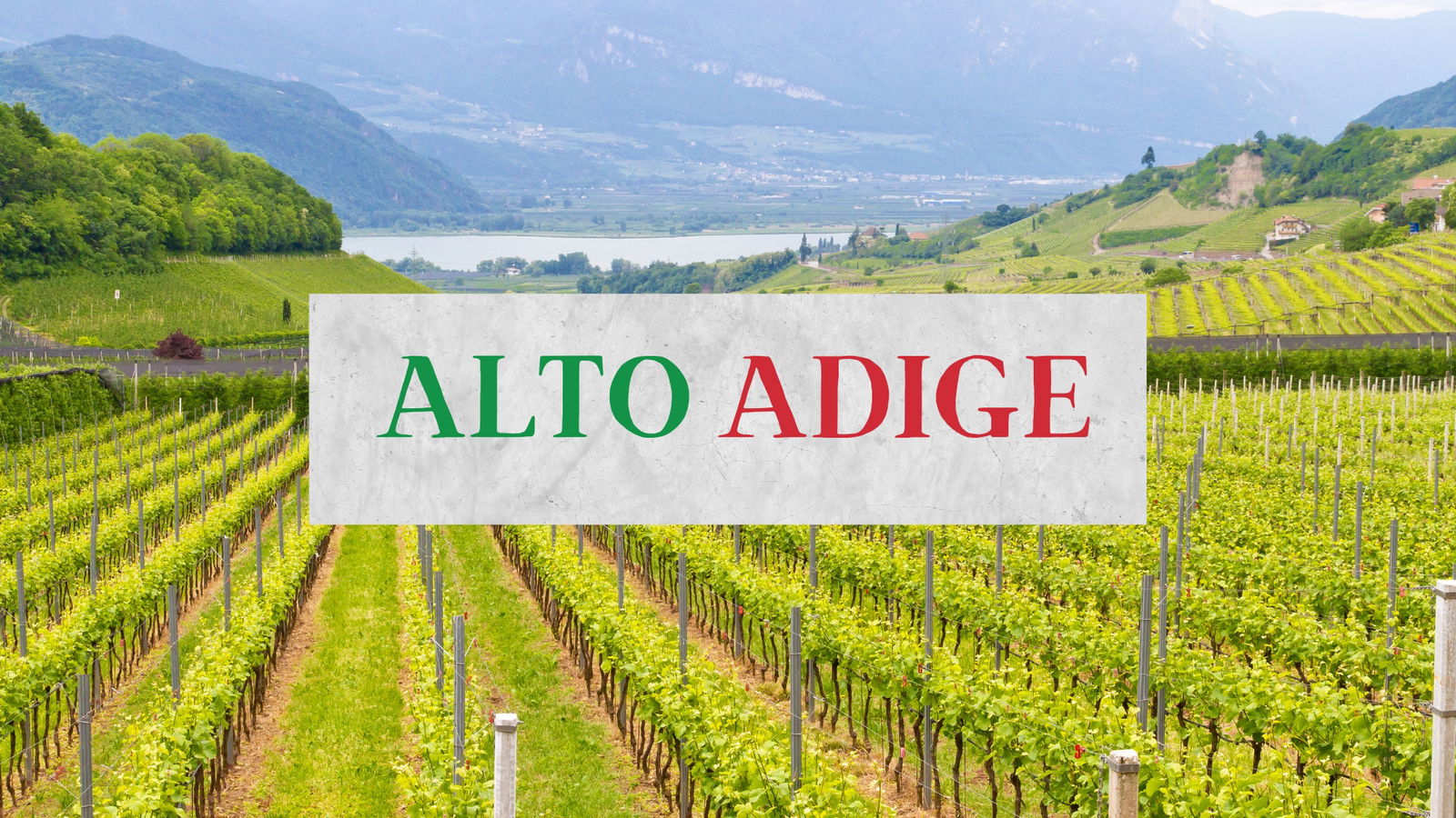 The Wines of Alto Adige with Nancy Gilchrist, MW