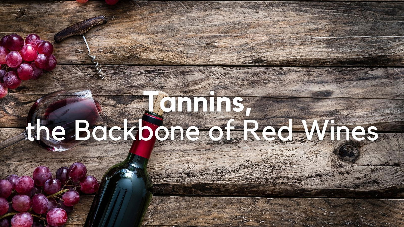 Tannins, the Backbone of Red Wine: Concepts and Craft with James Kennedy