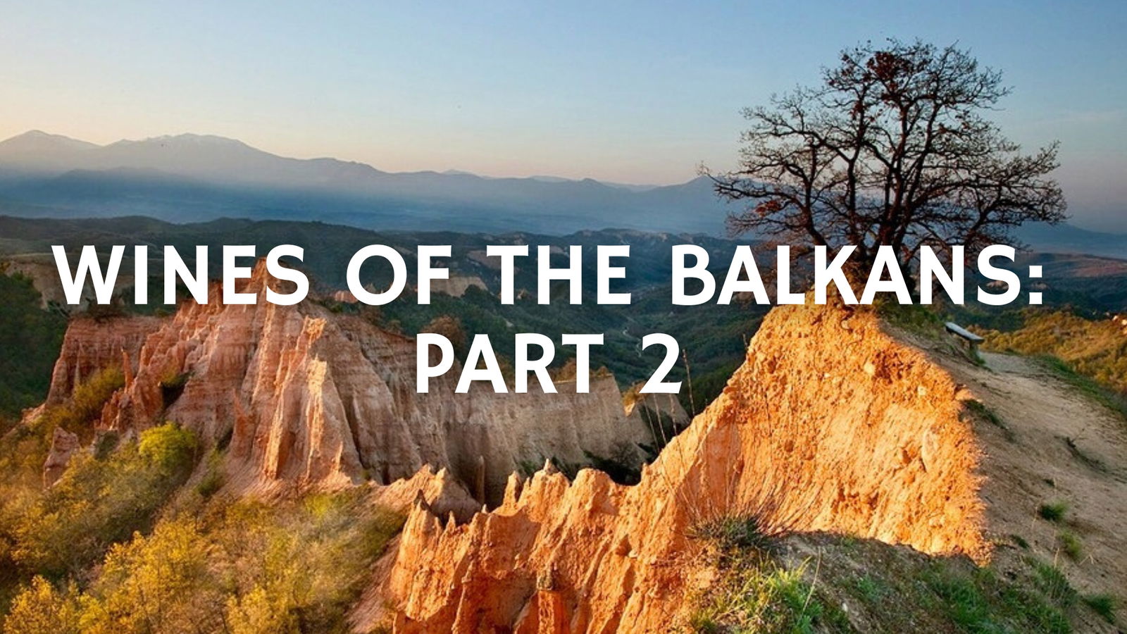 On the Crossroad Between East and West; The wines of the Balkans,  Part 2 with Nicoletta Dicova