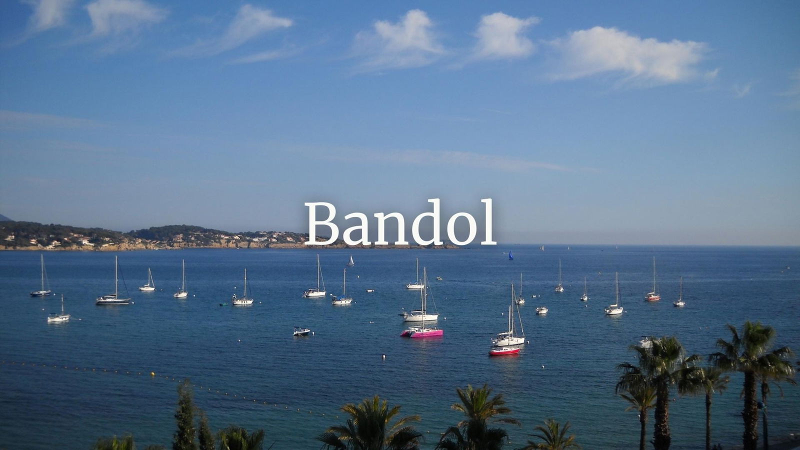 Myth Busting: Enigmatic Bandol with Elizabeth Gabay MW