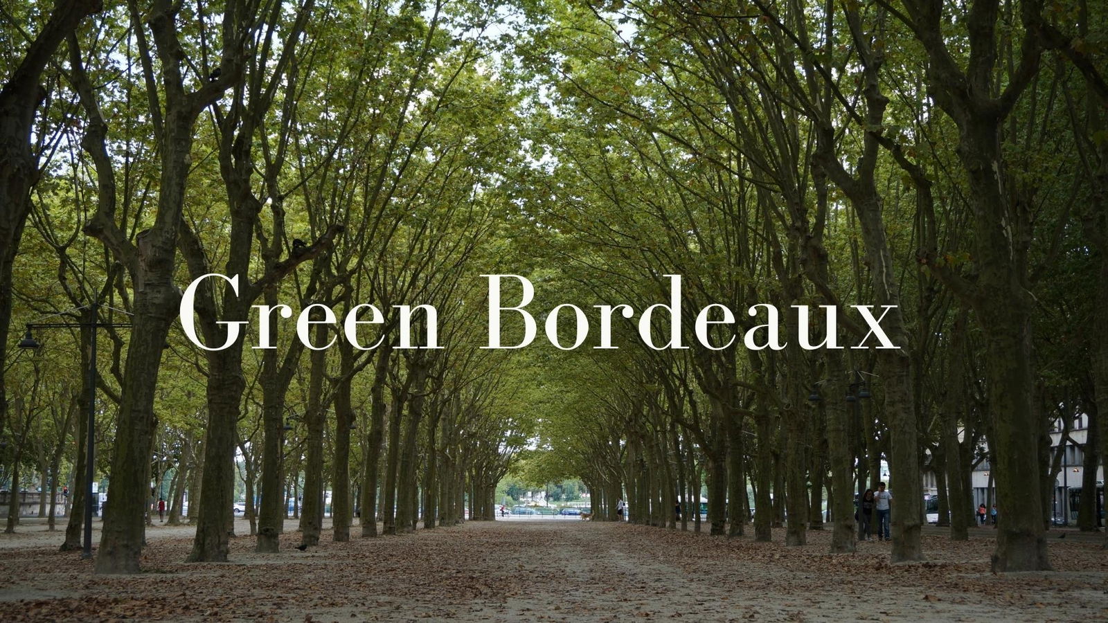 Green Bordeaux with Jane Anson