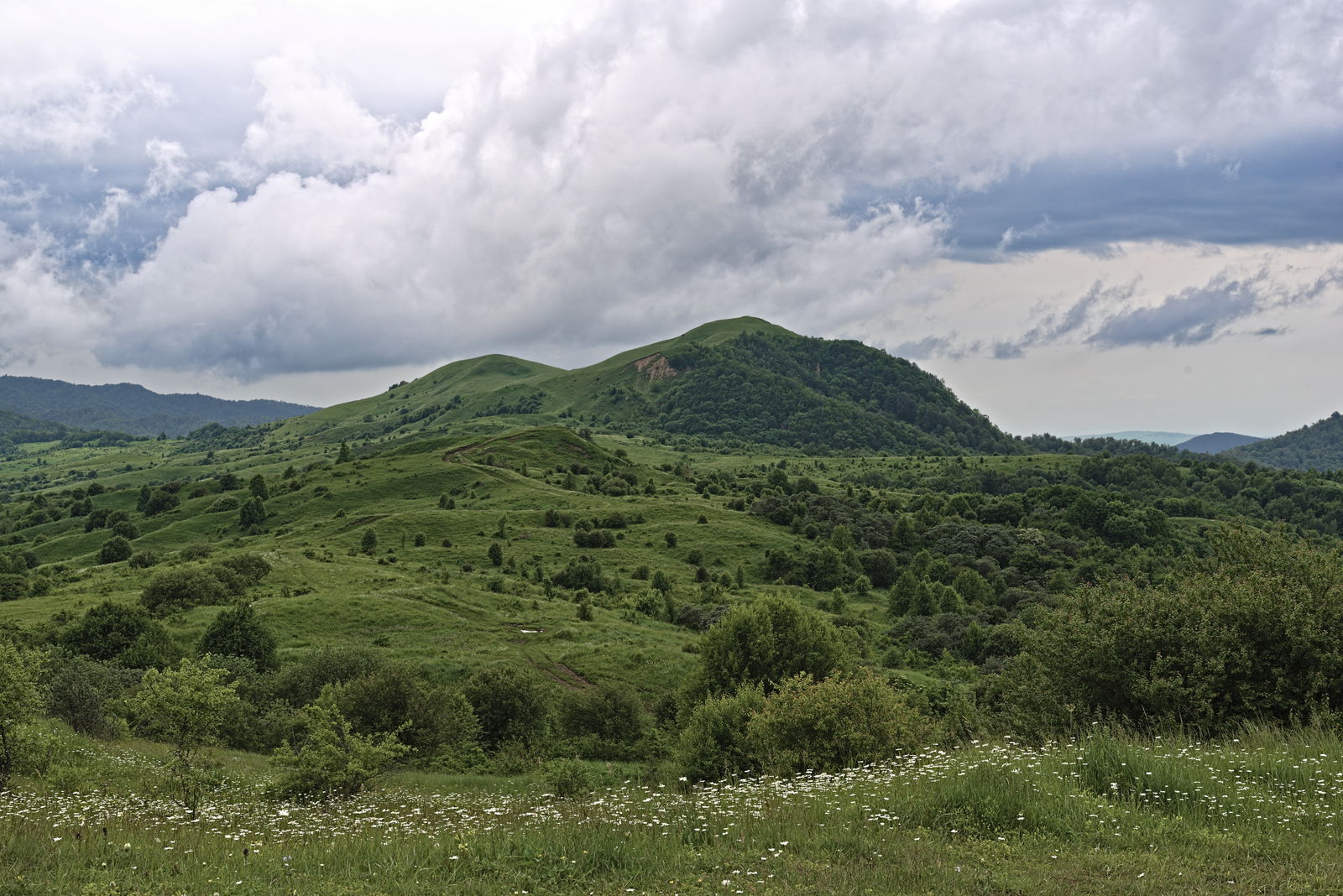 Unearthing Tradition in Georgia