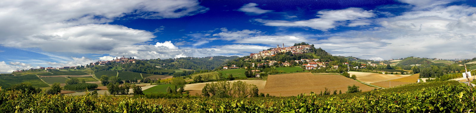 A Guide to Lesser Known Italian Red Wines: Piedmont