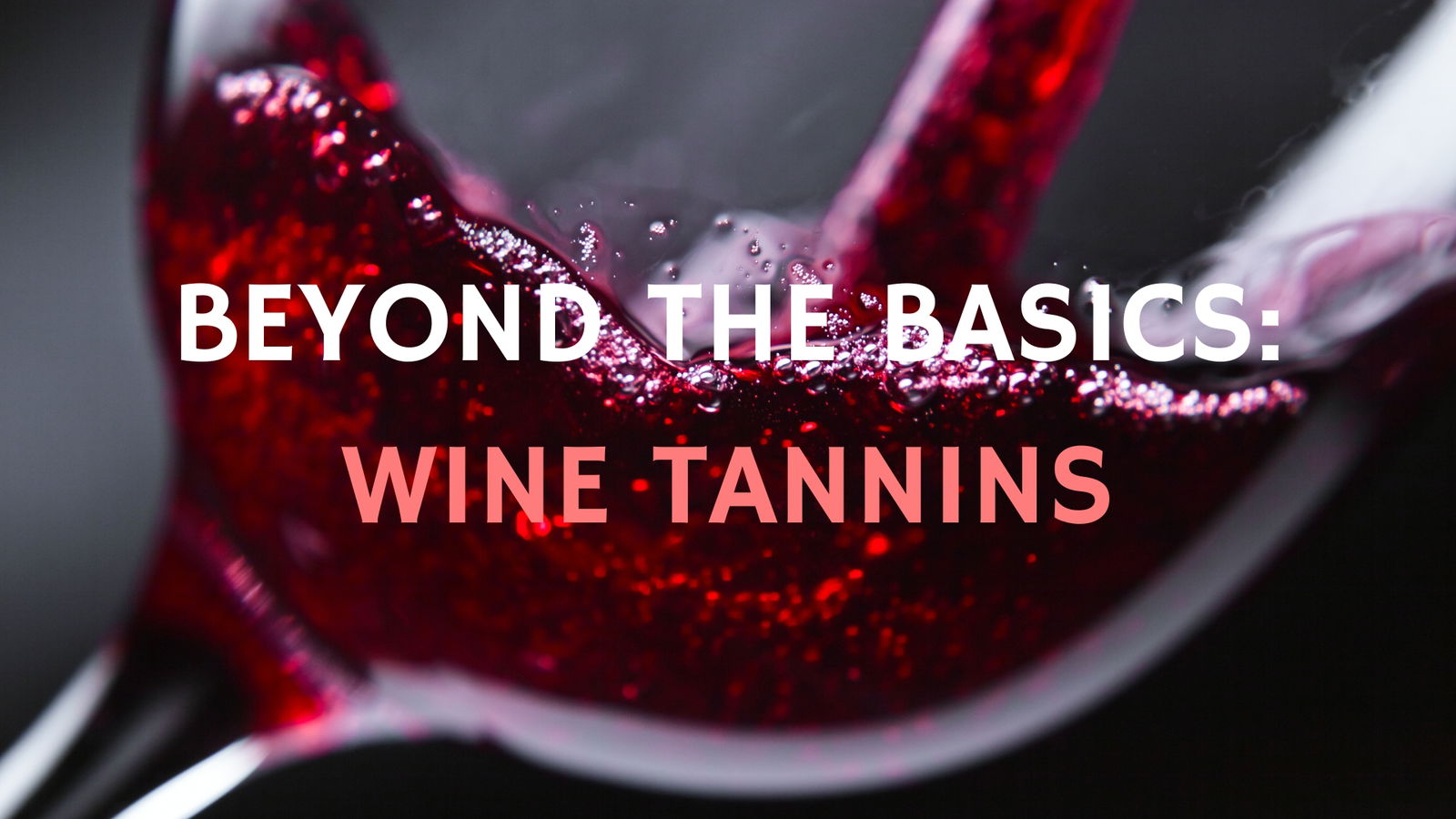 Beyond the Basics: Wine Tannins with Vincenzo Gerbi and Maria Alessandra Paissoni