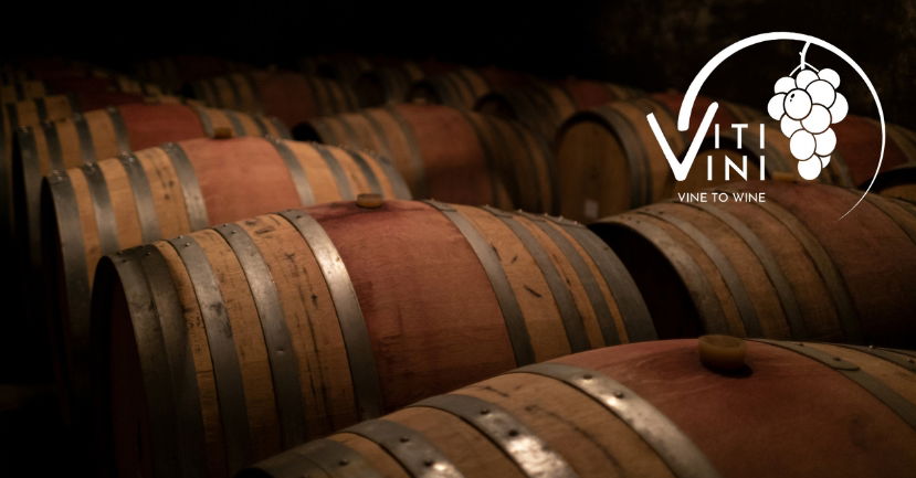 Vine to Wine: A Year of Viti/Vini - March