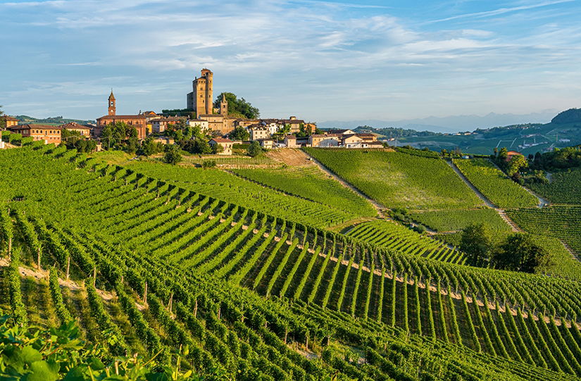 Dining in the Barolo and Barbaresco Zones