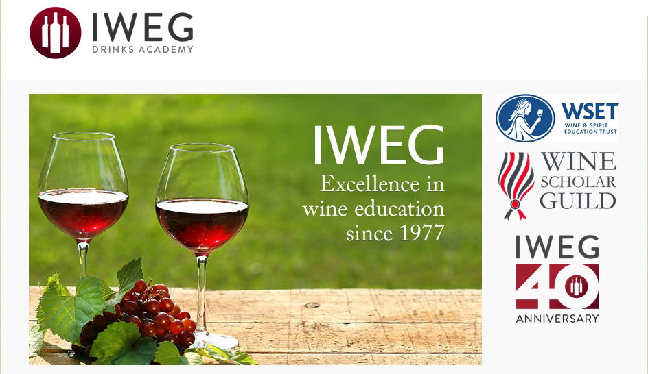 INTERVIEW: Paul Miles, Executive Director at IWEG, a WSG provider in Toronto