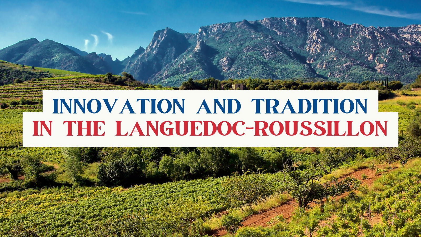 Innovation and Tradition in the Languedoc-Roussillon with Matthew Stubbs MW