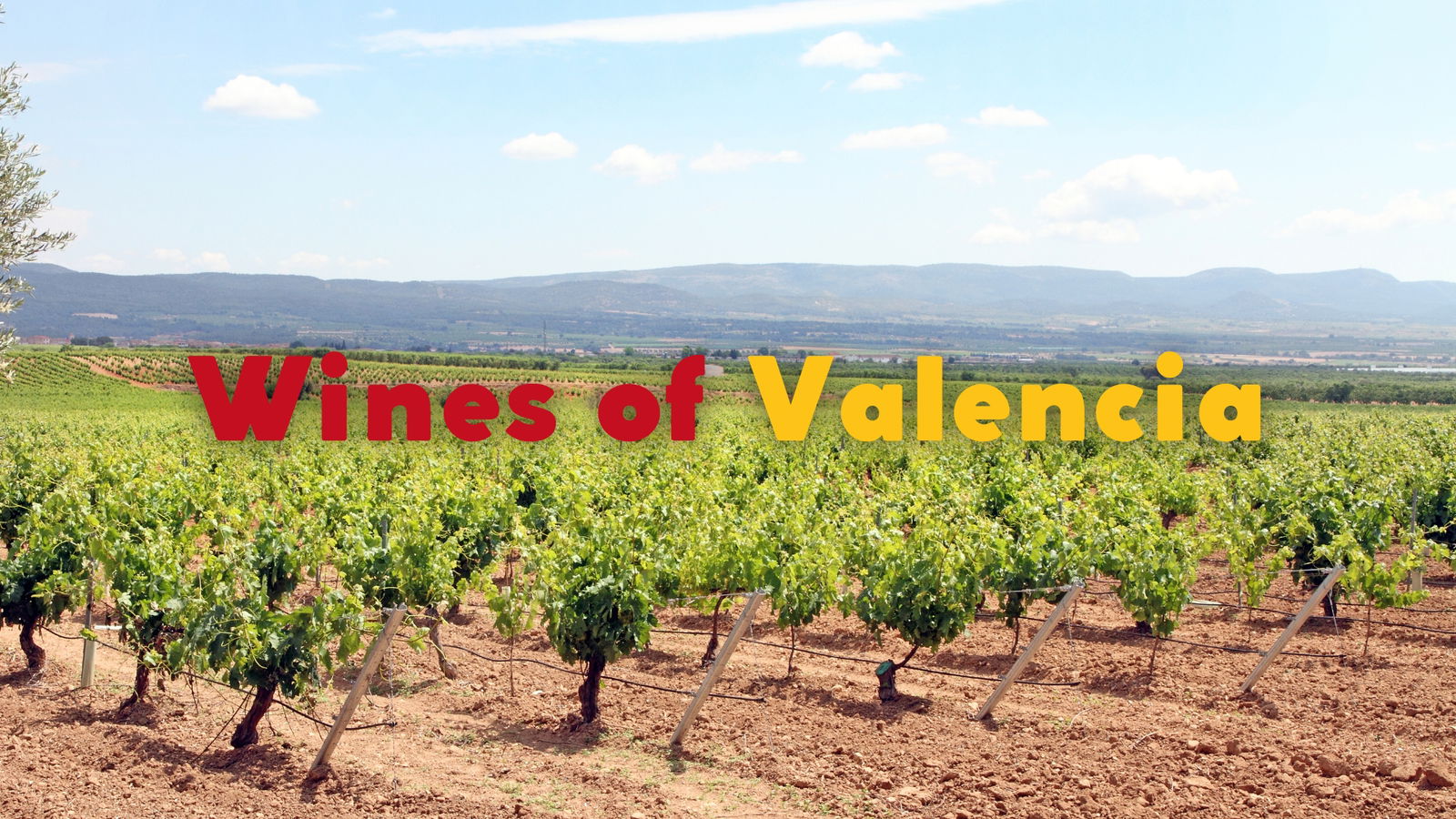 Wines of the Valencian Community – a personal history by Quentin Sadler