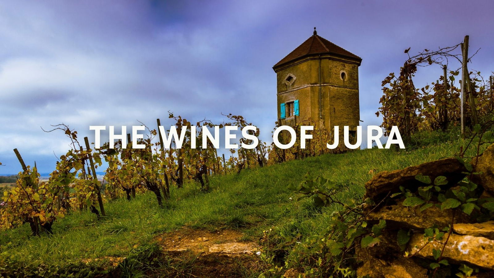 The Wines of the Jura with Jean-Louis Carbonnier