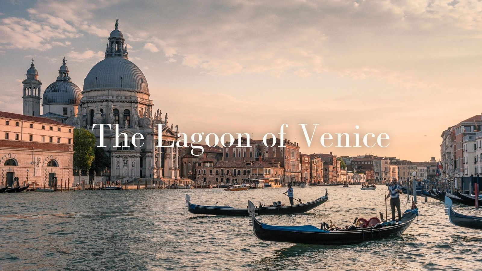 Heroic Viticulture in the Lagoon of Venice with JC Viens