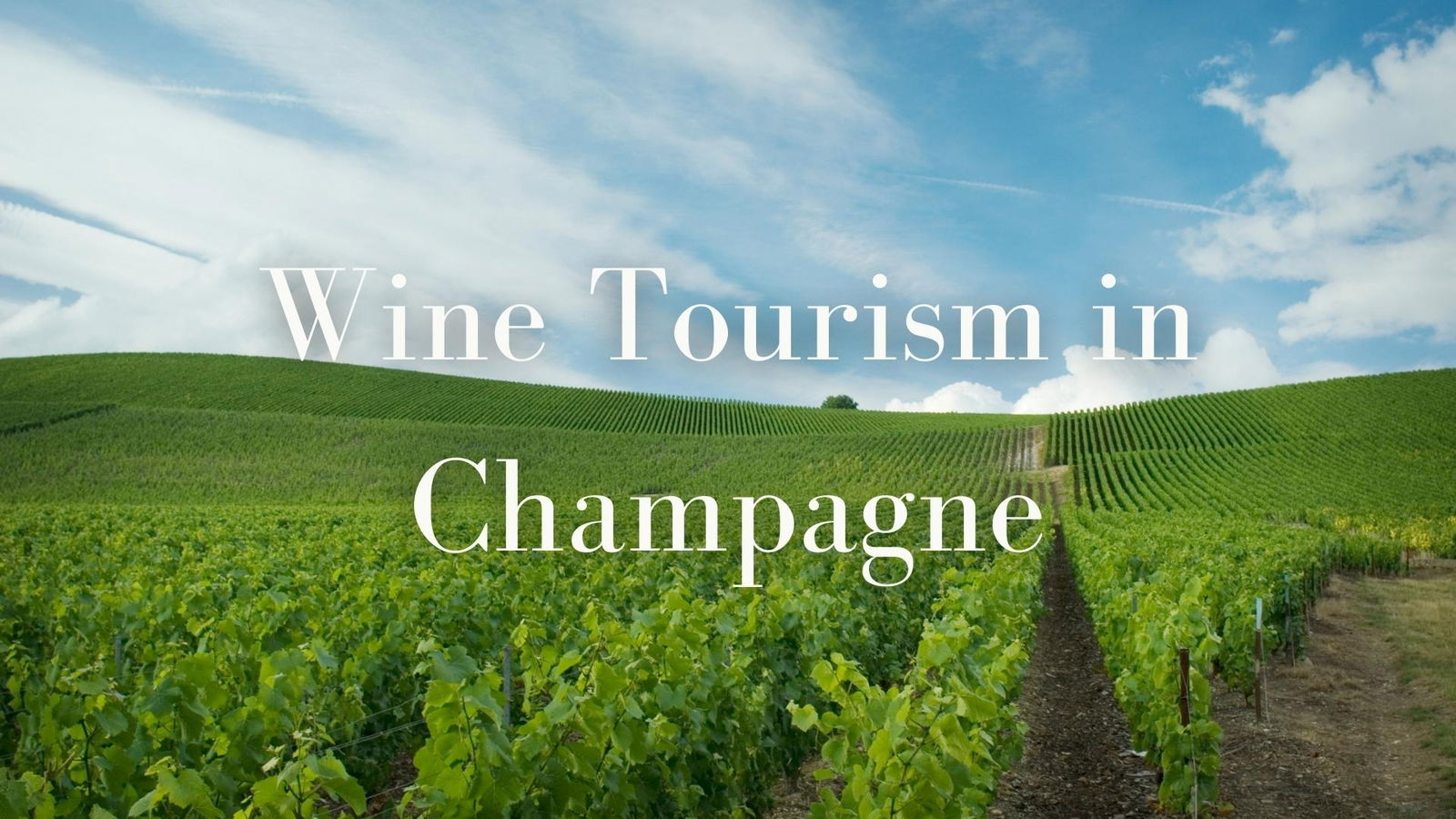 Wine Tourism In Champagne with Mary Kirk