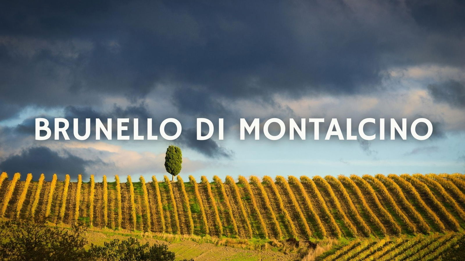 Explore the origins of Italy’s first ever DOCG, Brunello Di Montalcino with Mario Cagnetta