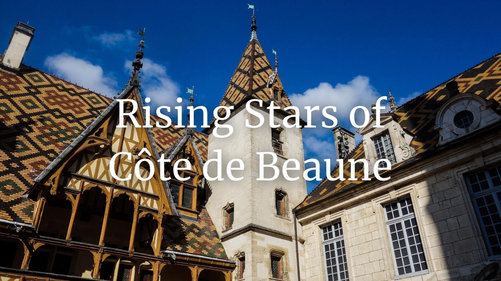 Rising Stars of Côte de Beaune with Tim Magnus