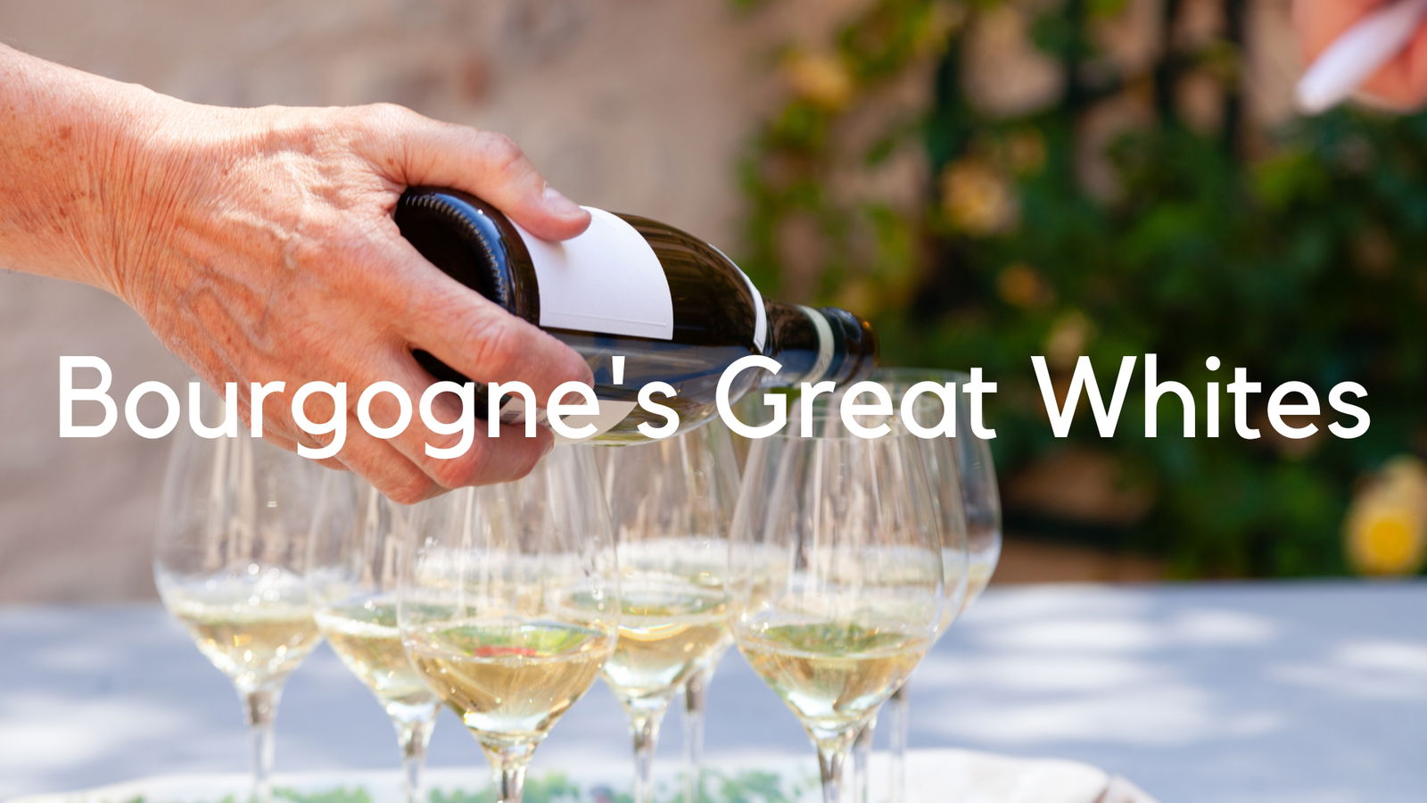 Bourgogne’s Great Whites : Meursault, Puligny-Montrachet, Chassagne-Montrachet