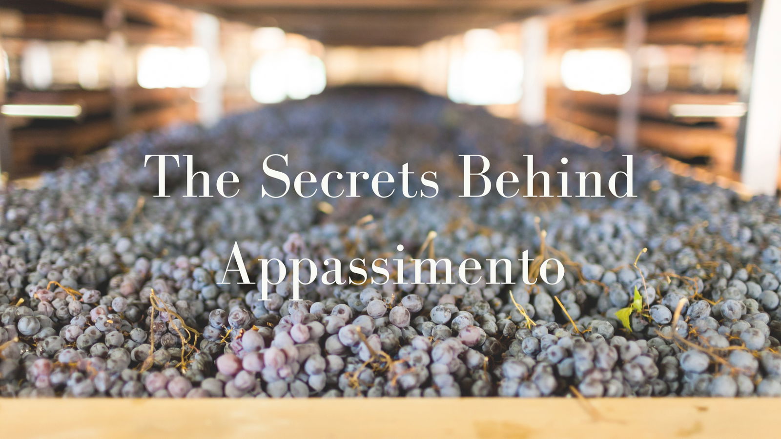 Discover the Secrets Behind “Appassimento&quot;, Italy’s Art of Drying Wine Grapes with JC Viens