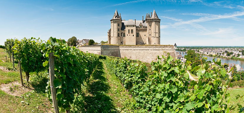 10 fabulous facts about Loire Valley wines