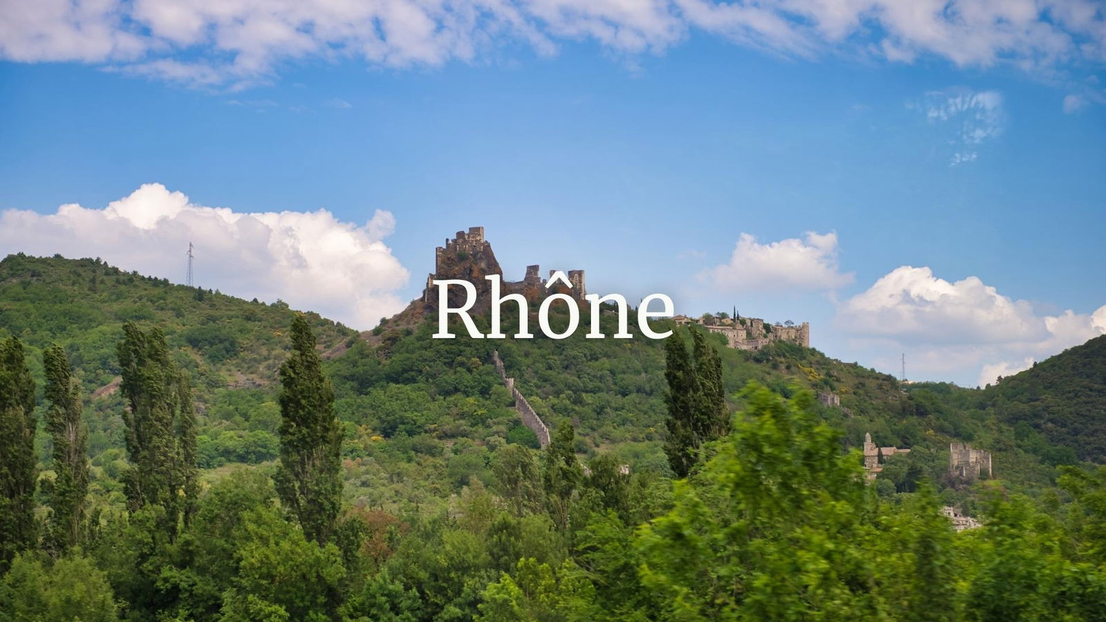 Rhône: The Inside Scoop with Roger Bohmrich MW