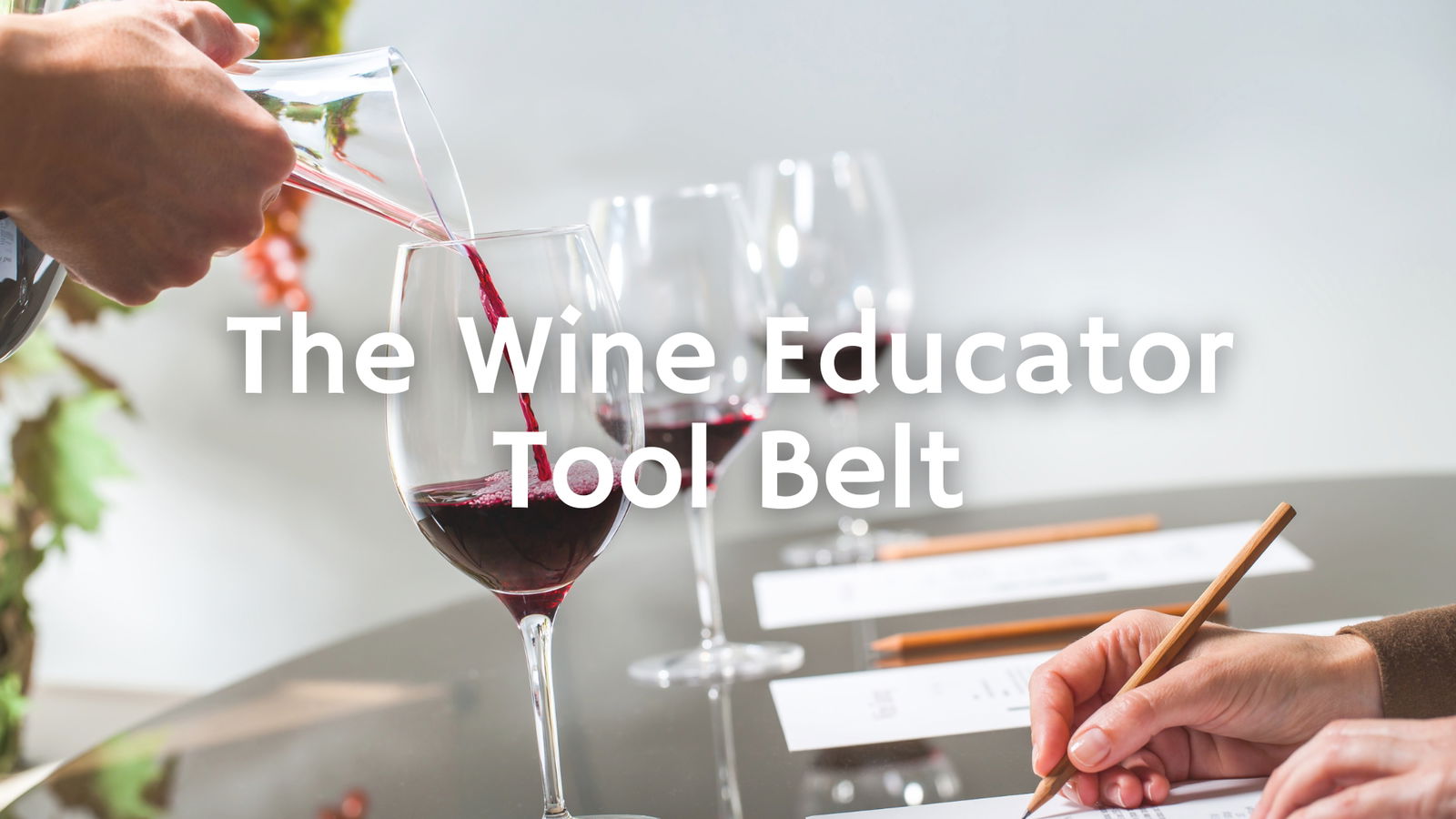 The Wine Educator Tool Belt with Tracy Kamens