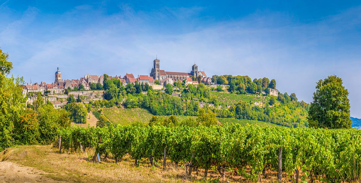 2017 Brought Changes To The Way We Look At Bourgogne Wines