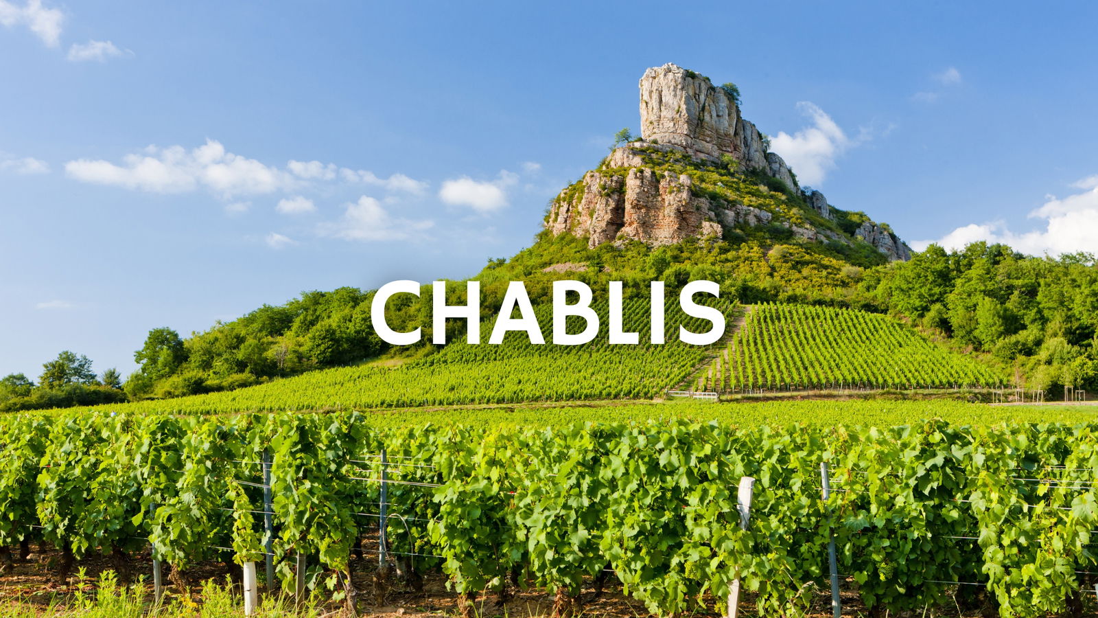 Chablis: Evolution, not Revolution with Rosemary George MW