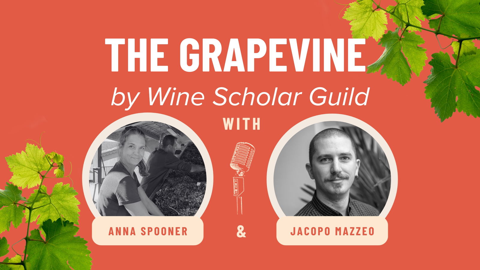 The Grapevine Podcast: Episode 4 - Sept 2023