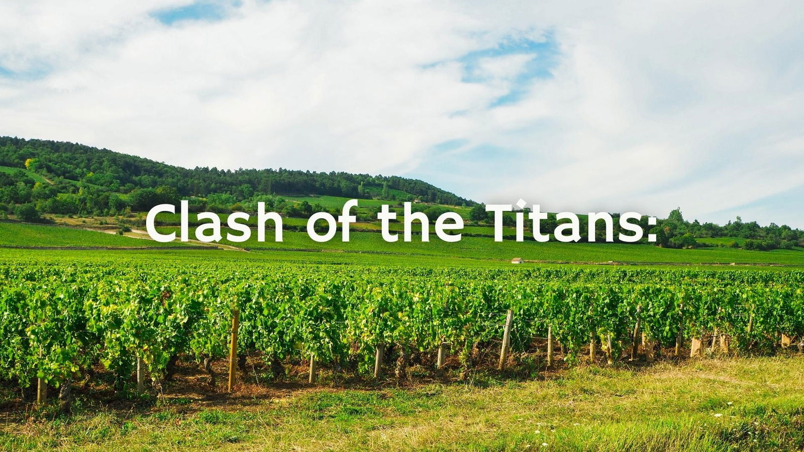 Clash of the Titans: 1er &amp; Grand Crus of Puligny-Montrachet with Tim Magnus