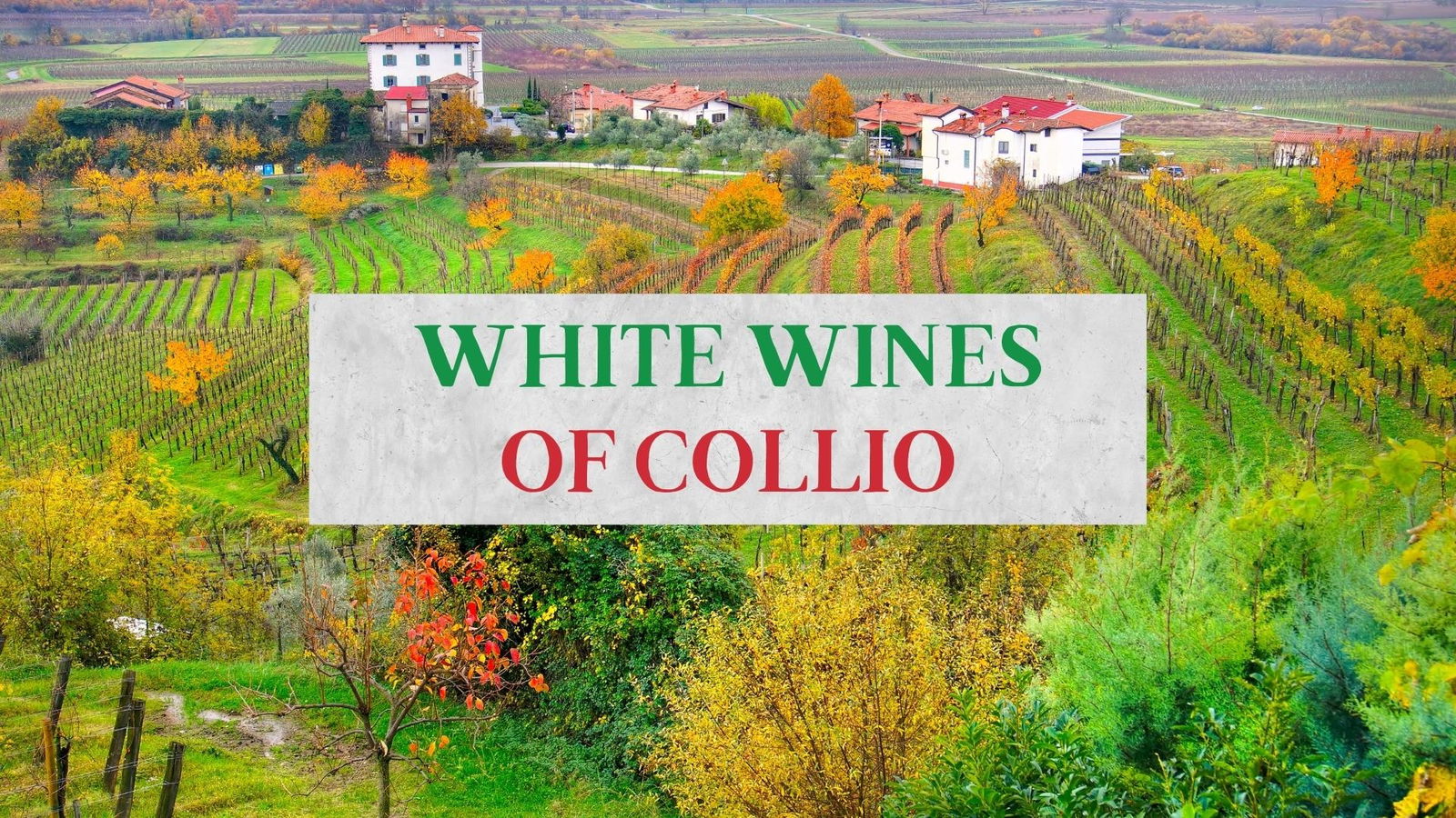 The White Wines of Collio with Richard Baudains