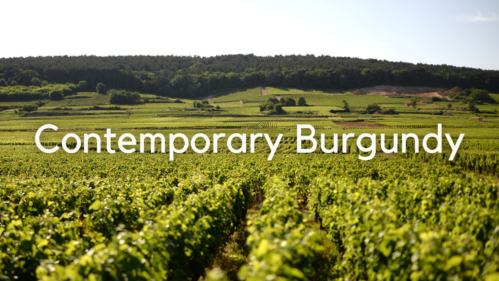 Contemporary Burgundy with Lisa Granick MW