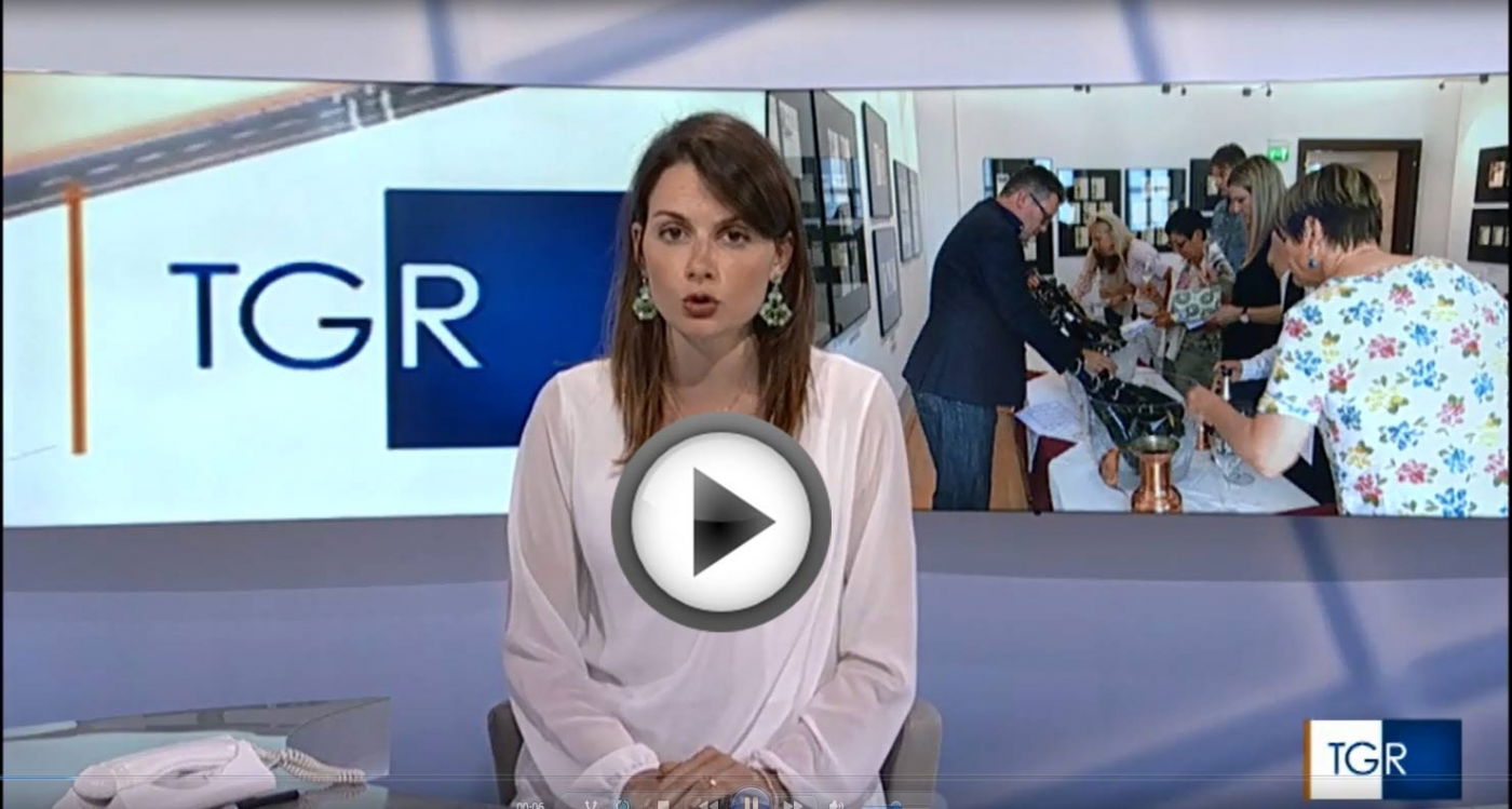 WSG makes the Italian news on RAI TV!