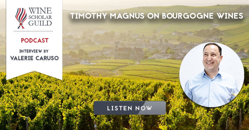 PODCAST: Timothy Magnus on Bourgogne wines