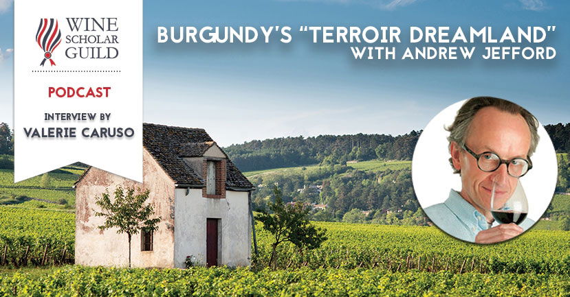 PODCAST: Andrew Jefford on Burgundy’s “Terroir Dreamland”