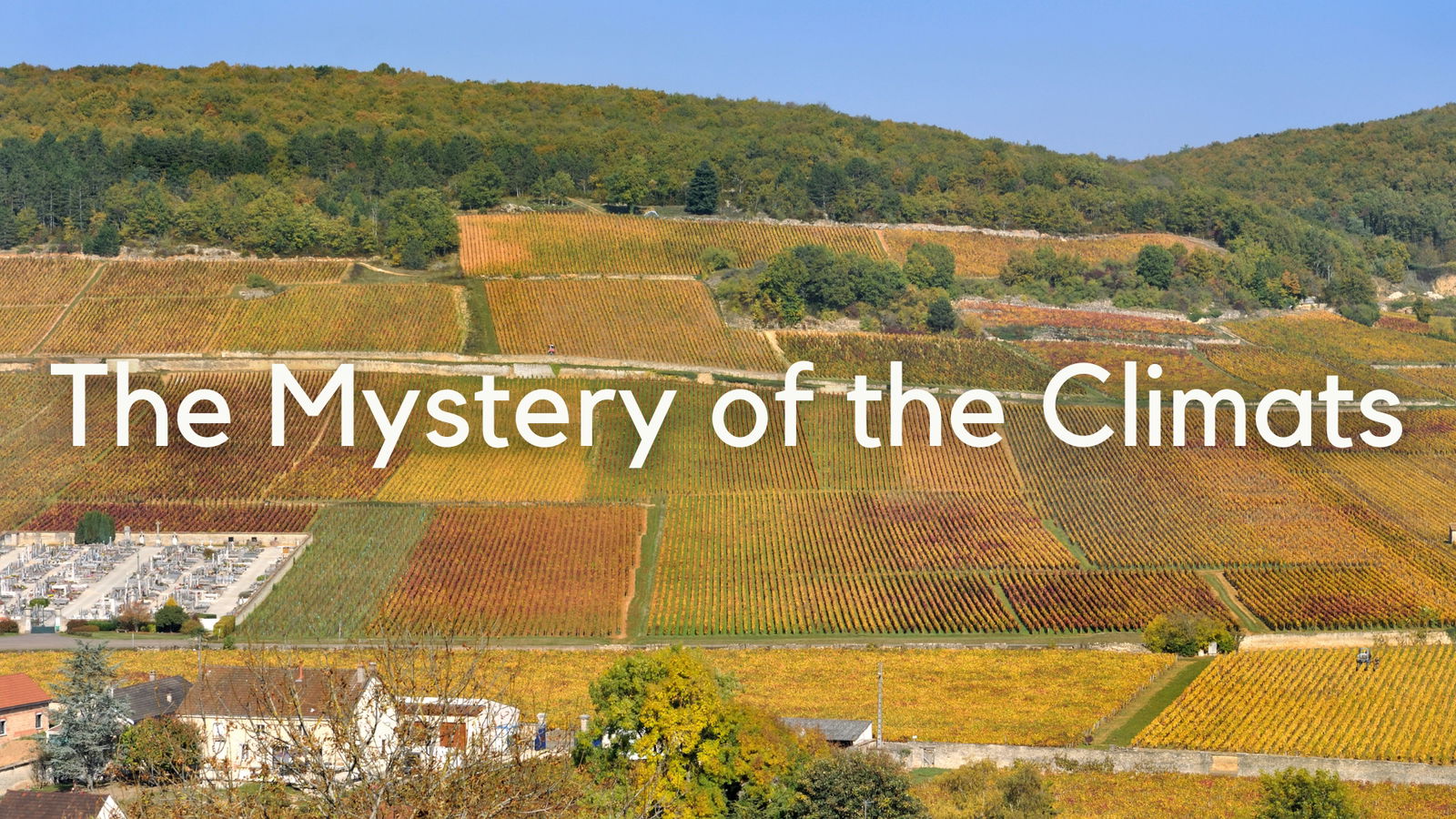 The Mystery of the Climats: History, Evolution &amp; Name Origins of Bourgogne&#039;s Greatest Vineyards with Tanya Morning Star