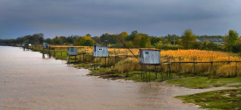 Common Knowledge: Estuary