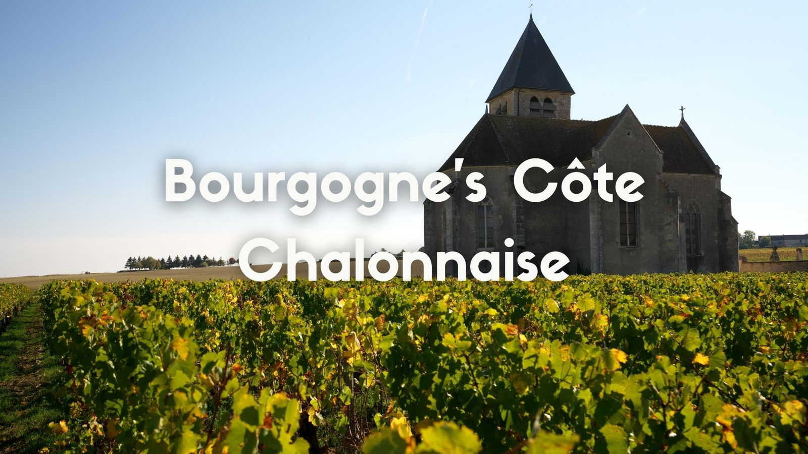 Land of the Lost: Burgundy&#039;s La Cote Chalonnaise with Don Kinnan, CWE