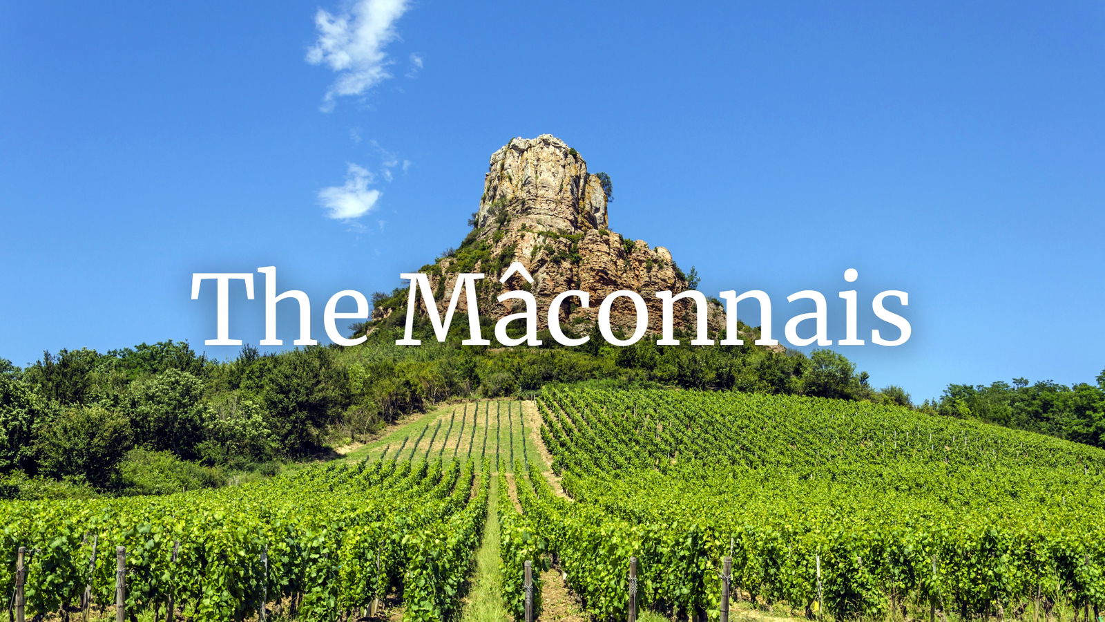 Mâconnais: The Land of Plenty with Tim Magnus