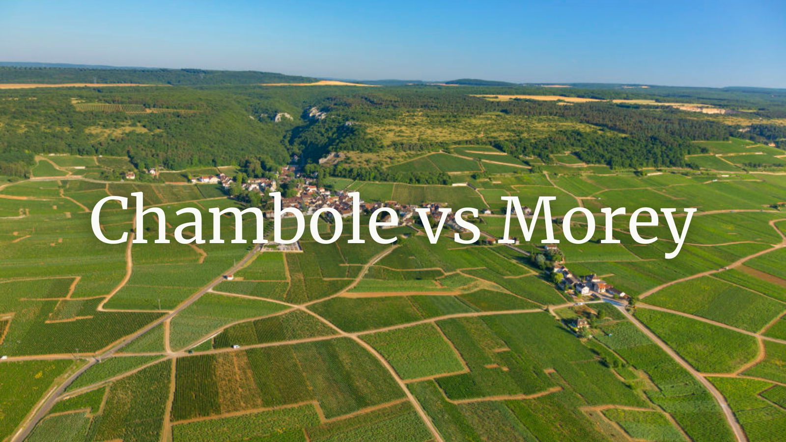 Chambolle vs Morey with Tim Magnus