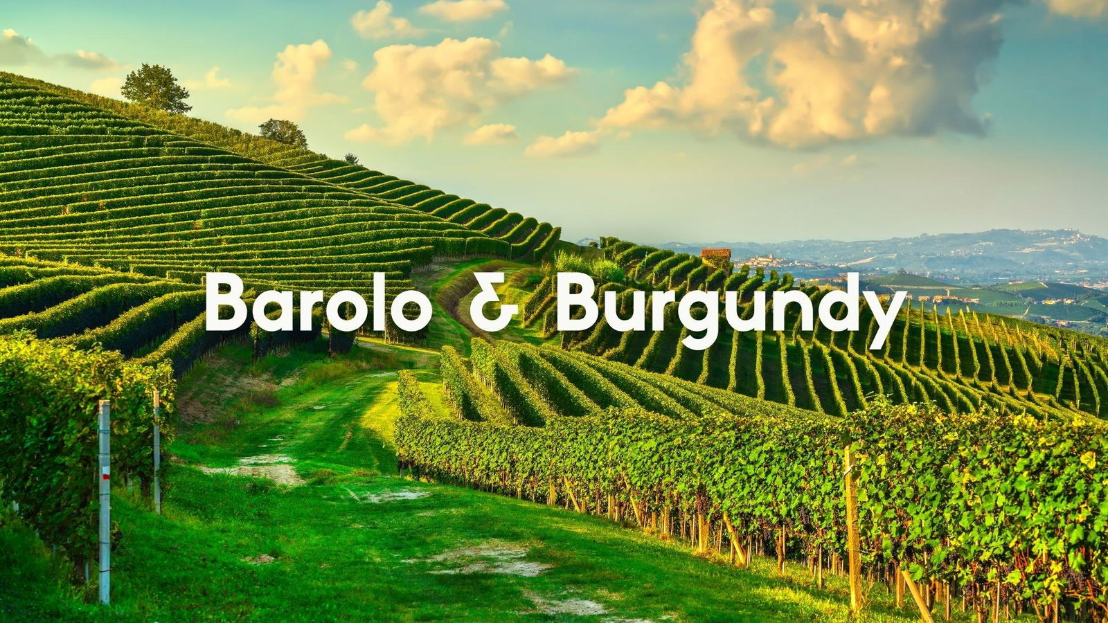 A Tale of Two Crus: Barolo and Burgundy with Christy Canterbury, MW