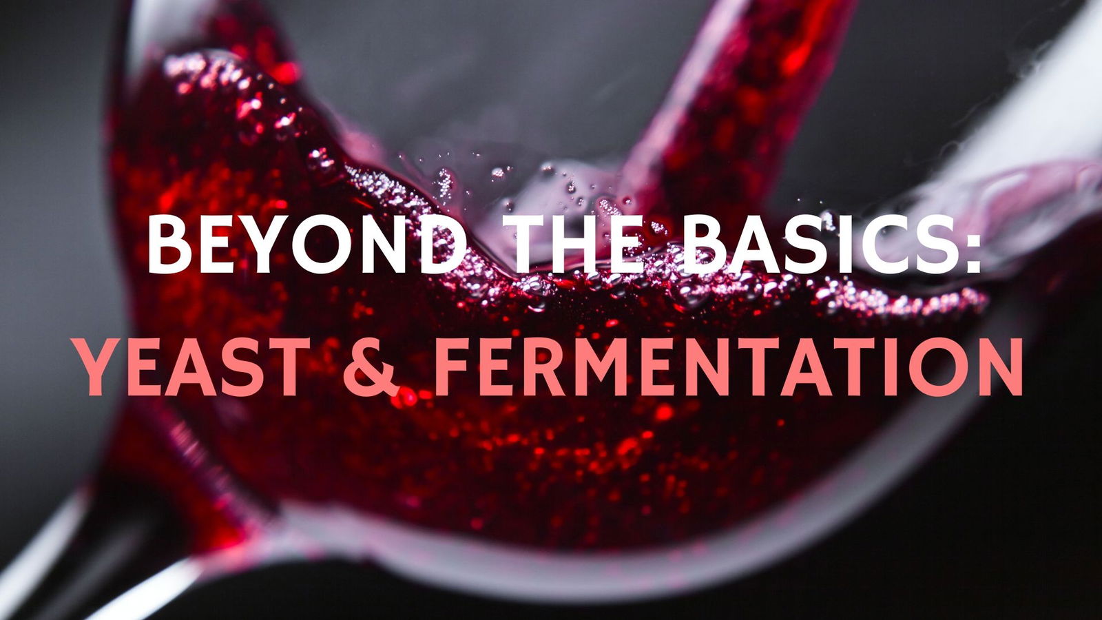 Beyond the Basics: Yeast and Fermentation with Olivier Humbrecht MW