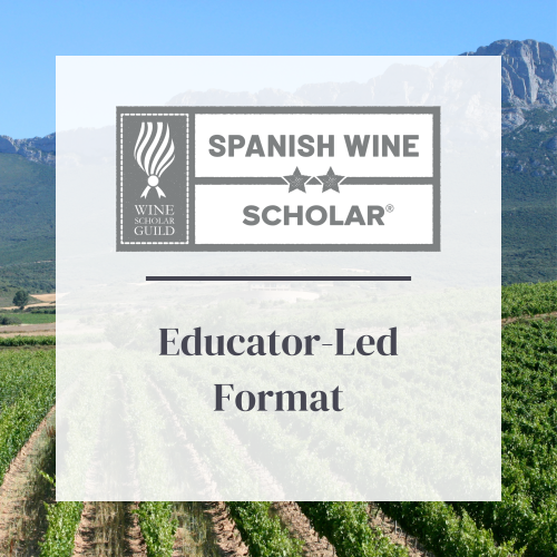 spanish-wine-scholar-educator-led