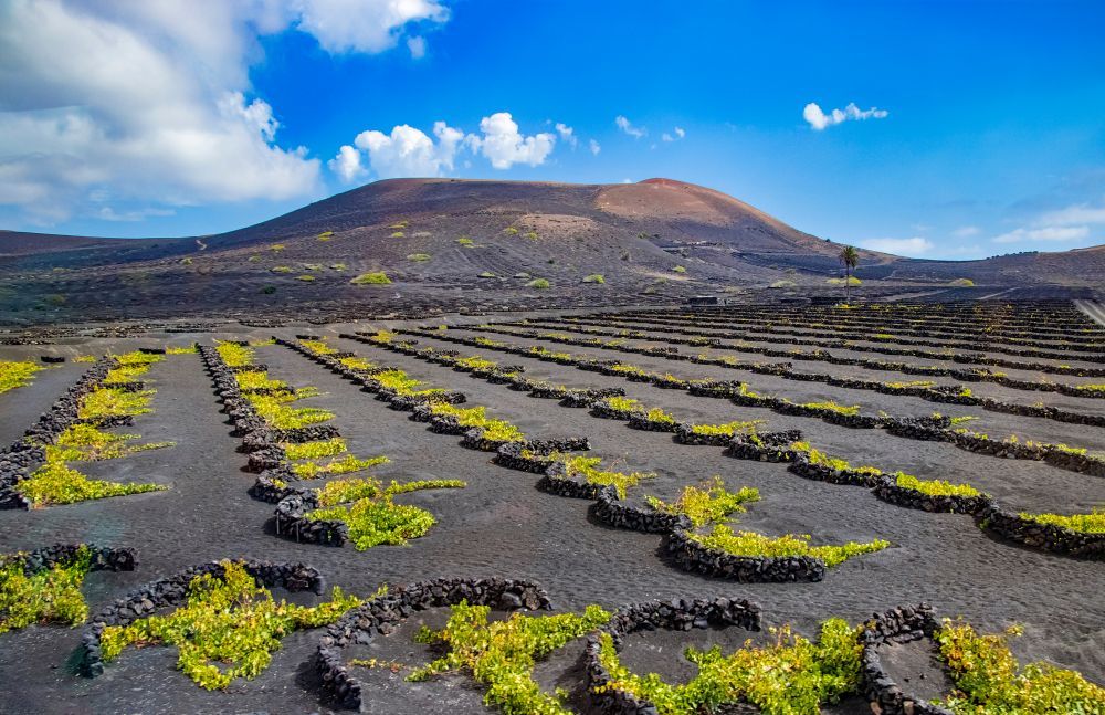 Las Islas Canarias